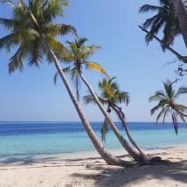 Vaali Maldives Island Escapes & Dive，位于费利杜的酒店