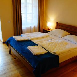 Guesthouse Mountain View，位于梅斯蒂亚的酒店