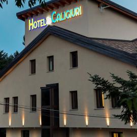 Hotel Ristorante Caligiuri，位于Decollatura的酒店