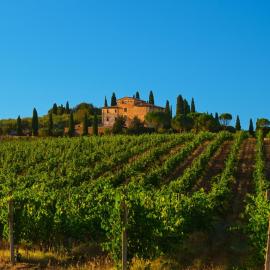 Agriturismo La Torre dell'Oliveto，位于Agello的酒店