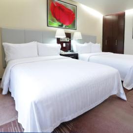 Holiday Inn Hotel & Suites Mexico Medica Sur by IHG