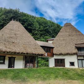 Casa Catrinei，位于Văleni的酒店