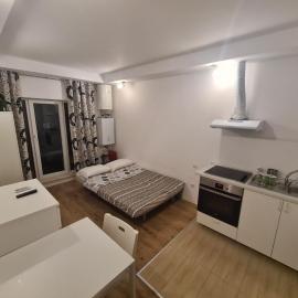 Cosmopolis Studio 1，位于Ştefăneştii de Jos的酒店
