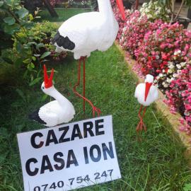 Casa Ion，位于霍雷祖的酒店