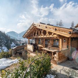 Alpe Chalets Goldener Hirsch，位于斯卡尔尼茨的酒店