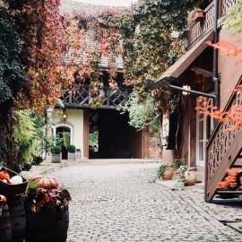 Hôtel Pêche de Vigne Restaurant & Spa，位于Rodern的酒店