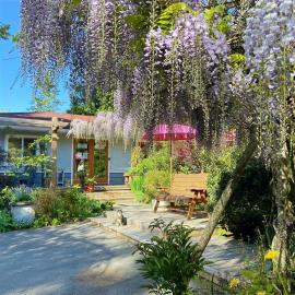 Wisteria Guest House，位于甘奇斯的酒店