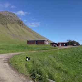 Rauðsdalur，位于Brjánslækur的酒店