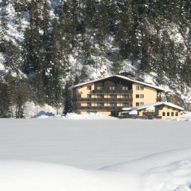 Schönauer Hof,位于巴赫的酒店