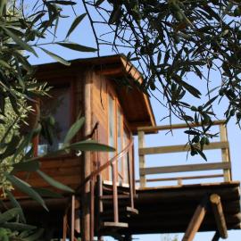 The Treehouse - Casa sull'albero al Golden Camp，位于法莱尔纳的酒店