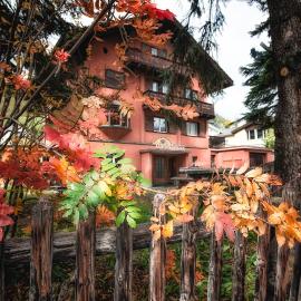 Chalet Speciale - Celerina，位于切勒里纳的酒店