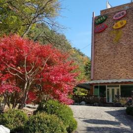 Galcheon Family Resort，位于襄阳郡的酒店
