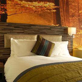 B&B Hotel Manchester SportCity，位于曼彻斯特的酒店