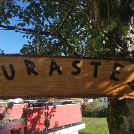 Jurastei 16