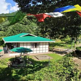 The Nettle and Fern Farmstay，位于佩林的酒店