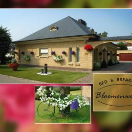 B&B Bloemenweelde，位于科特赖克的酒店