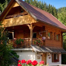 Shepherds House "Alpine Dreams"，位于索尔察瓦的酒店