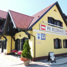 Hotel Pri Belokranjcu，位于新梅斯托的酒店