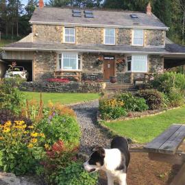 Ravens Rest，位于Llanwrda的酒店