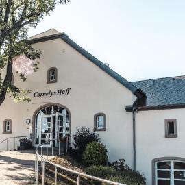 Hotel Cornelyshaff，位于Heinerscheid的酒店