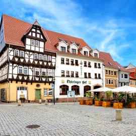 Hotel-Restaurant Thüringer Hof，位于巴特弗兰肯豪森的酒店