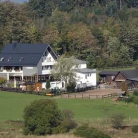 Ginsberger Heide，位于希尔兴巴赫的酒店