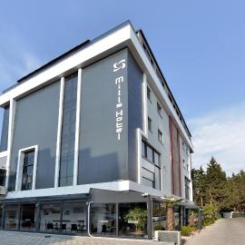 MİLLS HOTEL，位于泰基尔达的酒店