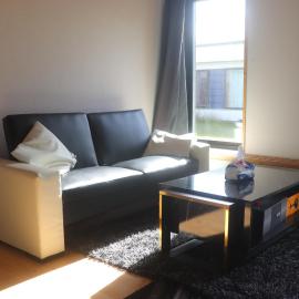 Cozy one room apartment