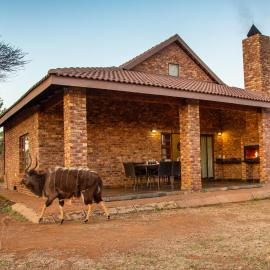 Sondela Nature Reserve & Spa Chalets，位于贝拉贝拉的酒店