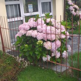 Kwa-Dlamathe Guesthouse,位于Volksrust的酒店