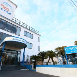 Seaside Hotel Kujukuri,位于Sammu的酒店