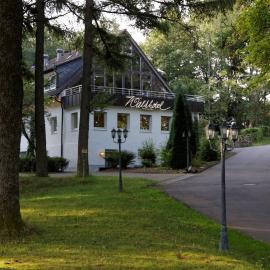 Waldhotel Wilhelmshöhe，位于弗罗伊登贝格的酒店
