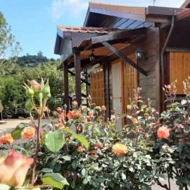 Kapilio Cottage House，位于Kapilio的酒店