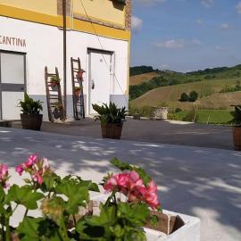 Cascina Angelina，位于Casteggio的酒店