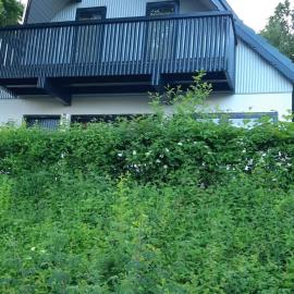 Ferienhaus im Seepark Kirchheim，位于基希海姆的酒店