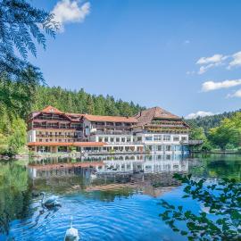 Hotel Langenwaldsee，位于弗罗伊登施塔特的酒店