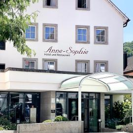 Hotel-Restaurant Anne-Sophie，位于金策尔绍的酒店