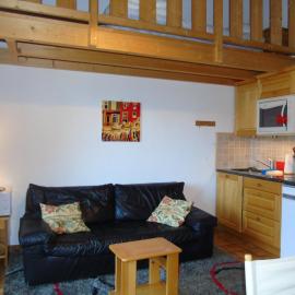 Appartement spacieux 6 personnes avec balcon à Châtel - FR-1-198-127，位于沙泰勒的酒店
