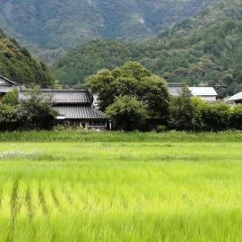 Twinkle Villa，位于Kokuryō的酒店