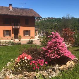 B&B Castelvecchio，位于Ferrere的酒店