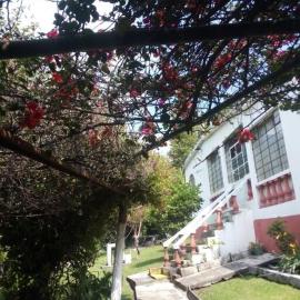 Casa Don Rubén，位于马利纳尔科的酒店