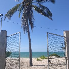 LA CHOZITA DEL MAR