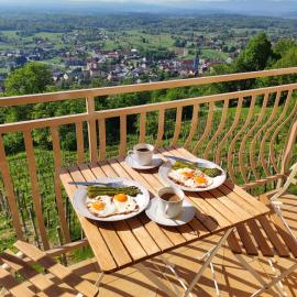 Zidanica Jakše - Vineyard Cottage，位于Semič的酒店