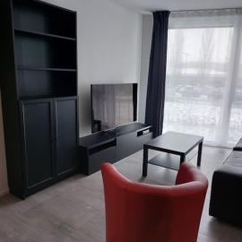 Appartement 2p1/2 pour couple ou famille，位于罗蒙的酒店
