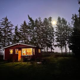 Bungalow in der Natur，位于Hohenbollentin的酒店