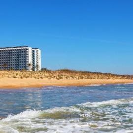 Hotel Playas de Guardamar，位于瓜尔达马尔·德尔·塞古拉的酒店