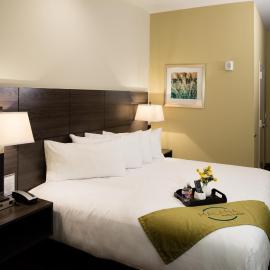 Malana Hotels & Suites，位于科图拉的酒店