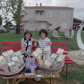 Agriturismo Susanna e Atria，位于比博纳的酒店