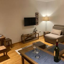 Apartman Jelka Brzece，位于布尔泽策的酒店