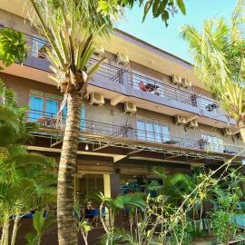 River Dolphin Hotel，位于桔井的酒店